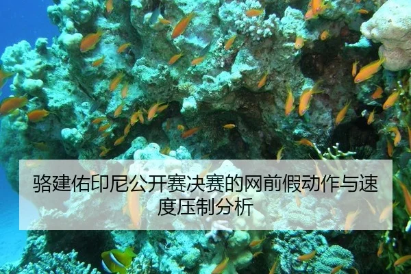 骆建佑印尼公开赛决赛的网前假动作与速度压制分析