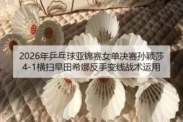 nian-ping-pang-qiu-ya-jin-sai-nv-dan-jue-sai-sun-ying-sha-heng-sao-zao-tian-xi-na-fan-shou-bian-xian-zhan-shu-yun-yong-2-740.jpg
